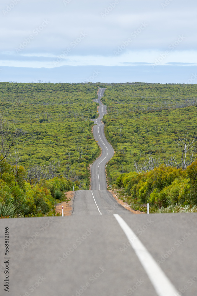 The long desolate road to Flinders chase National Park on Kangaroo Island showing the regenerating bush after the fires