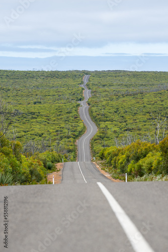 Obraz na płótnie The long desolate road to Flinders chase National Park on Kangaroo Island showing the regenerating bush after the fires w salonie