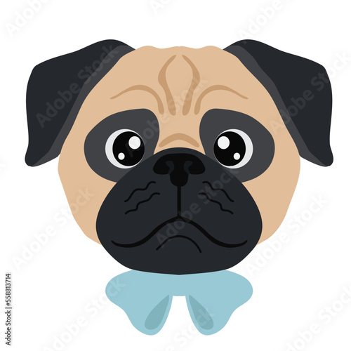 pug portrait