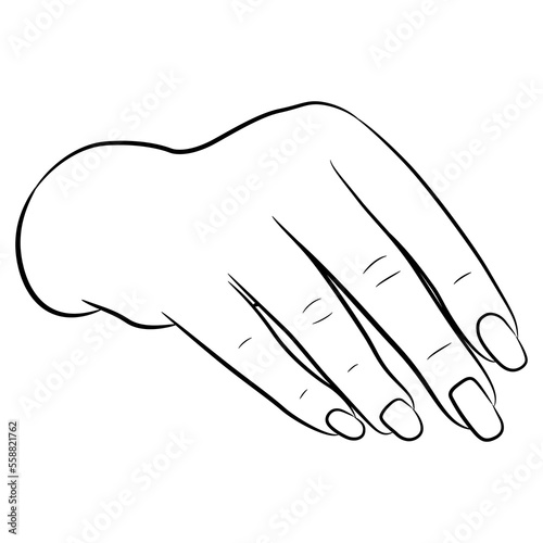 Human female hand with long nails. Front view. Black and white linear silhouette.