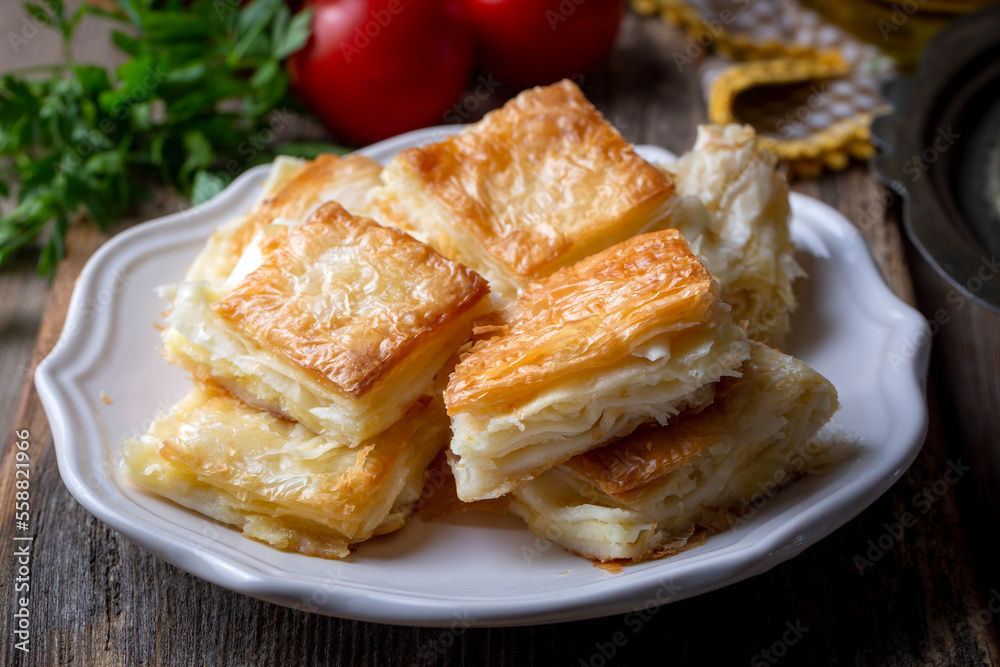 Delicious Turkish Tray pastry, Su boregi with cheese. Adana borek. Delicious Turkish Tray pastry, Su boregi with cheese. Adana borek.