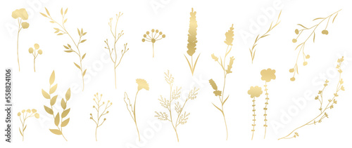 Luxury hand drawn botanical vector set. Collection of abstract gradient golden spring wild flowers, grass, leaf branch in minimal style. Design illustration for logo, wedding, invitation, decoration