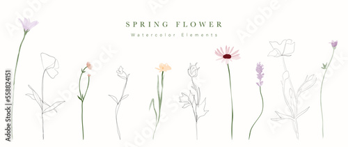 Watercolor hand drawn botanical vector set. Collection of abstract spring wild flowers, grass, leaf branch, floral leaves in minimal style. Design illustration for logo, wedding, invitation, decor