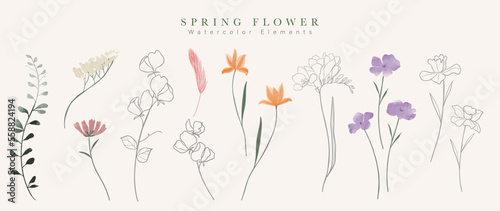 Watercolor hand drawn botanical vector set. Collection of abstract spring wild flowers, grass, leaf branch, floral leaves in minimal style. Design illustration for logo, wedding, invitation, decor