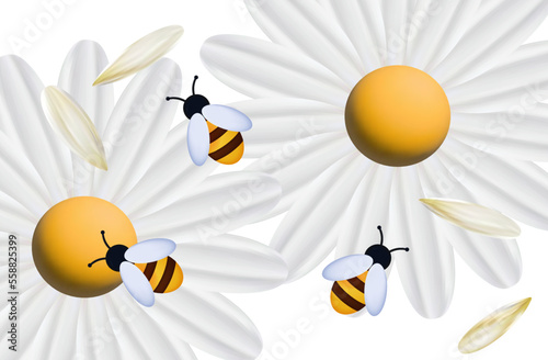 Bees with white flowers 3d top view. Insects pollinate chamomile, daisies, gerberas. The process of collecting honey, nectar. Bee in the apiary, spring time, white flowers. Meadow or field. Vector.