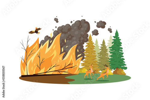 Forest Fires Illustration concept on white background