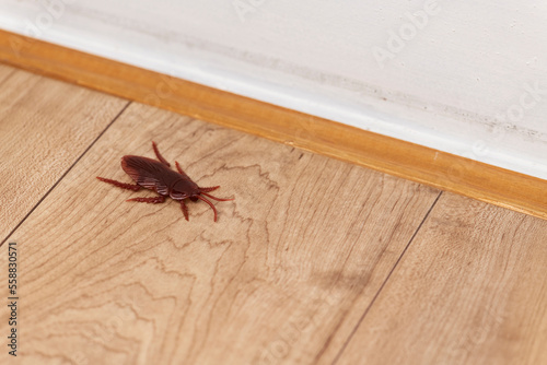 部屋のフローリングの床に偽物のゴキブリの害虫イメージ © kai