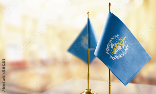 Small flags of the World Health Organization WHO on an abstract blurry background photo