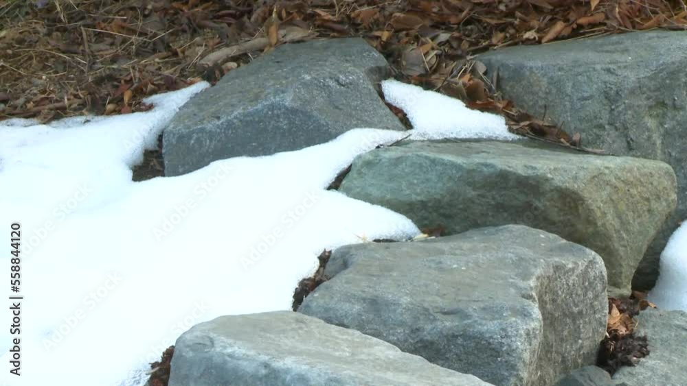 겨울 눈 풍경 자연