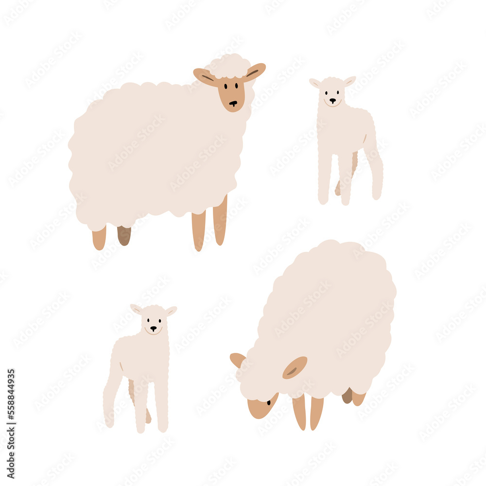 sheep illustrations, domestic animals clipart, farm life illustrations, farmer flat vector style sheep illustrations, domestic animals clipart, farm life illustrations, farmer flat vector style