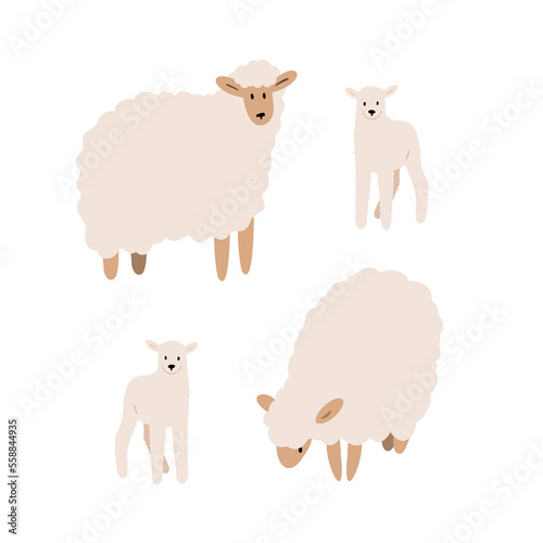 sheep illustrations, domestic animals clipart, farm life illustrations, farmer flat vector style