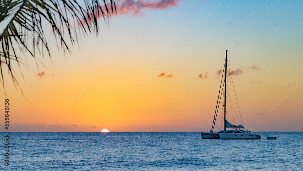 Sunset on the Caribbean Sea, with a coconut palm tree leave in the foreground and a sailboat in the background, Bayahibe, Dominican Republic