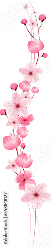 pink cherry  blossom flower  border