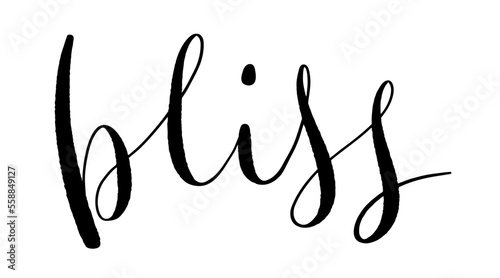 BLISS black vector brush lettering banner