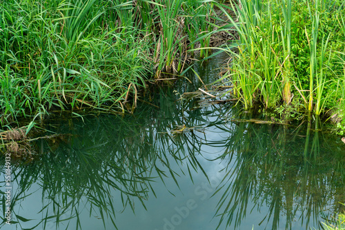 Sewage flows into the lake from the territory of a large plant. Leaking dirty water from the sewer.  Environmental pollution. Environmental problem