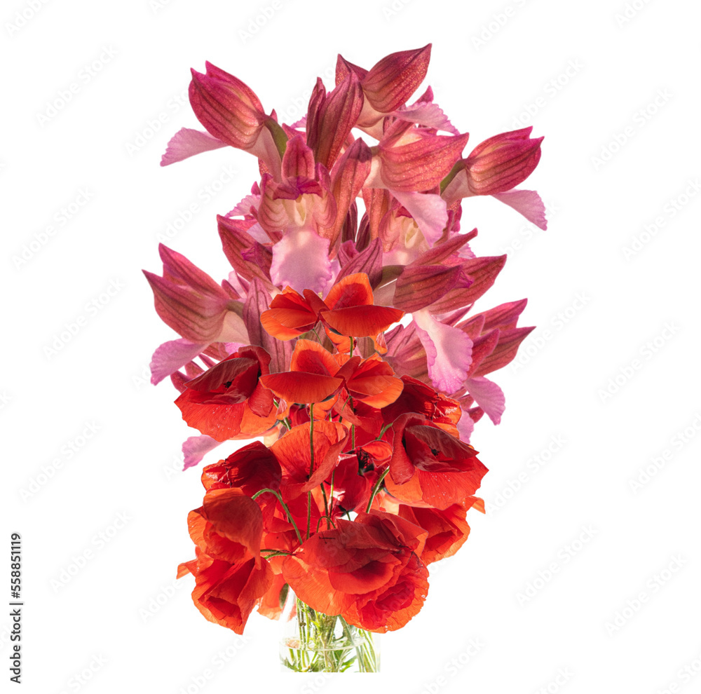 bouquet of red flowers