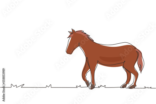 Continuous one line drawing proud white horse walks gracefully with strong character. Wild mustang gallops in free nature. Animal mascot for ranch. Single line draw design vector graphic illustration