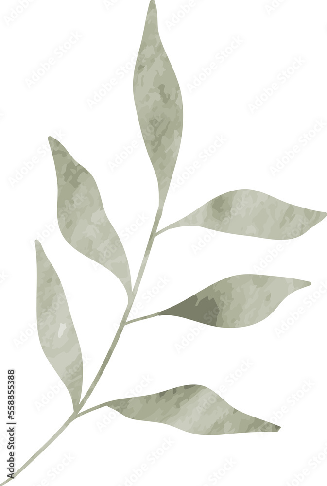 Watercolor leaf branch illustration Watercolor leaf branch illustration