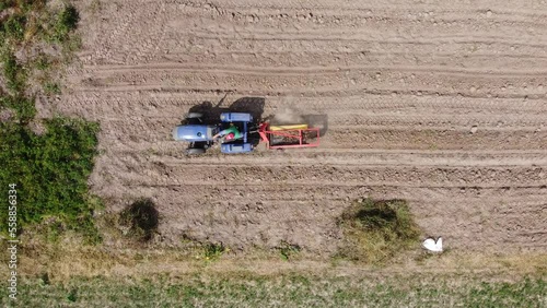 Farmers harvesting potato crop from an autumn farm in Ukraine