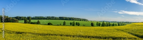 Fototapeta Naklejka Na Ścianę i Meble -  landscape with yellow rape field, meadows and forests