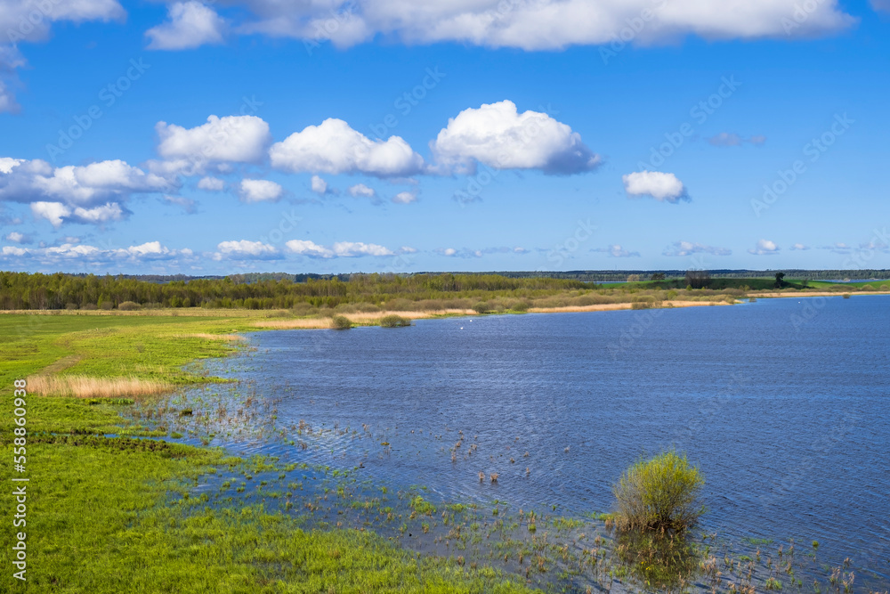 Landscape view with a bay in a lake with a wetland