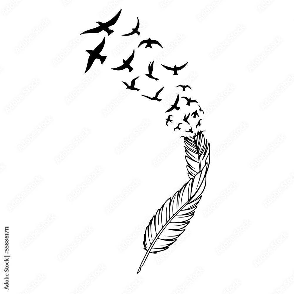 Fototapeta premium Feather to Birds