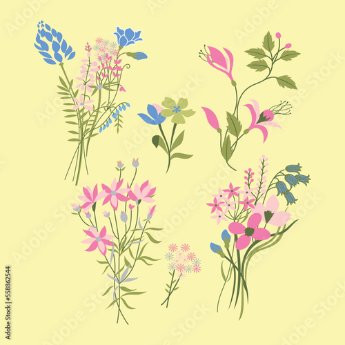 Collection of different medical herbs, wild flower or treatment plants in realistic, natural style. Botanical, decorative wildflowers. Flat vector hand drawn illustration isolated on white background 