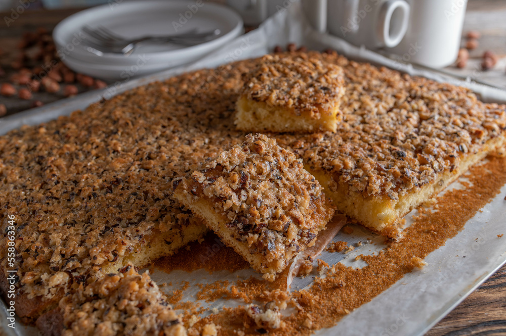 Sheet cake with nuts. Caramelized hazelnut topping on a baking tray Sheet cake with nuts. Caramelized hazelnut topping on a baking tray