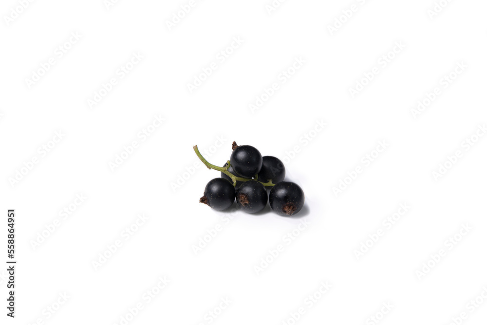 Black currants on a white background, isolated. Black currants on a white background, isolated.
