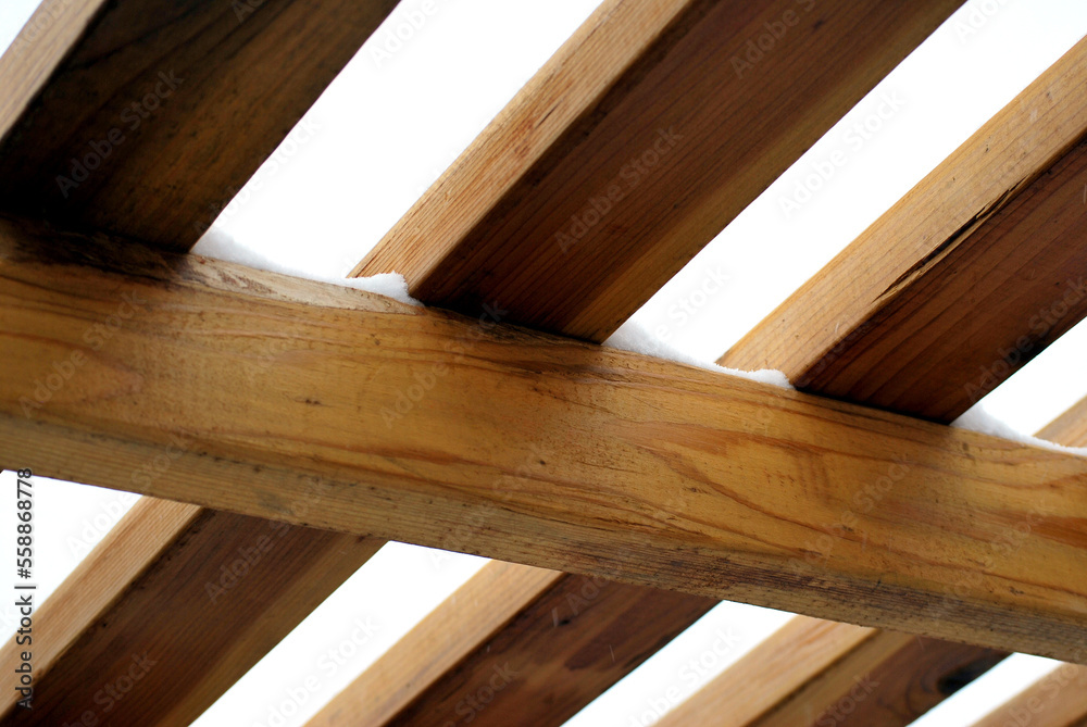 Winter season outdoors.