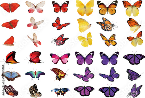 Watercolor butterflies illustration, EPS easy to use