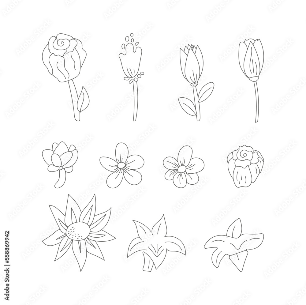 set of flowers set of flowers