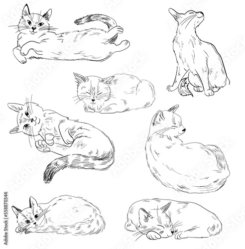 Cute cats vector illustration set, line drawing