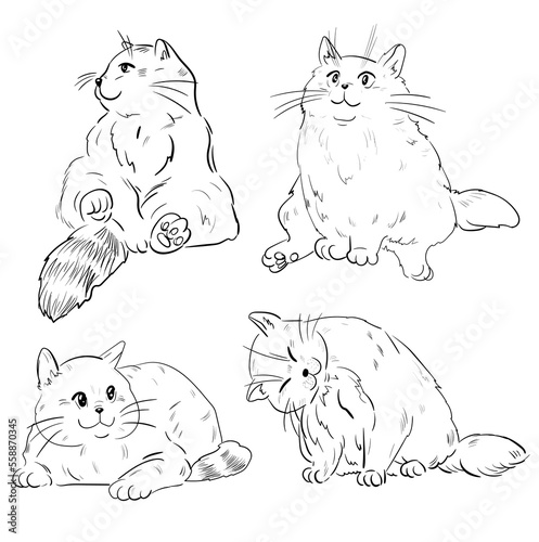 Cute cats vector illustration set, line drawing