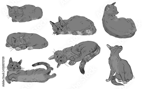 Vector illustration set of cute cats with a bow on a light background
