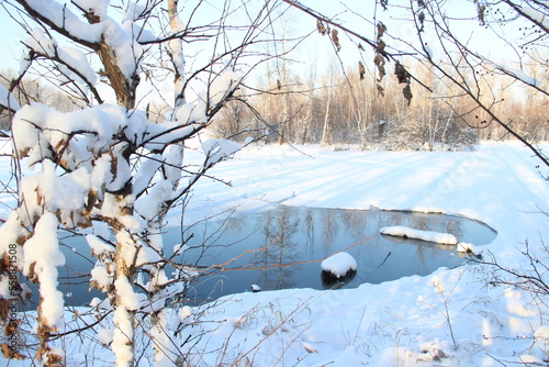 reflectireflection of te trees  on the lake in winteron of te trees  on the lake in winter