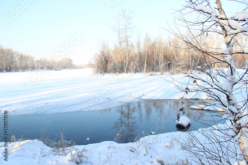 reflection of te trees  on the lake in winter