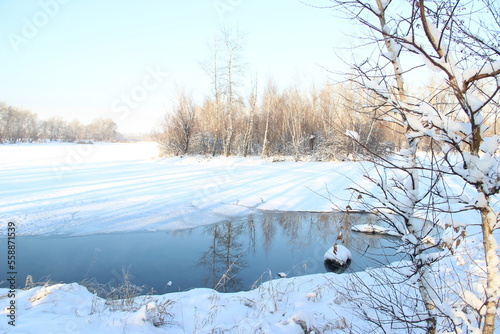 reflection of te trees  on the lake in winter
