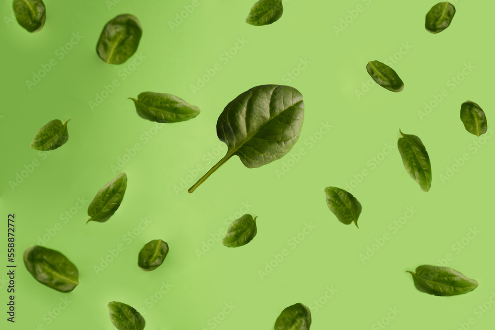 Spinach leaves levitate pattern on green background copy space Spinach leaves levitate pattern on green background copy space