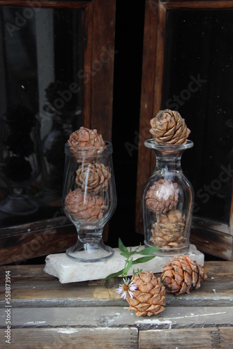 vintage still life with pine cones