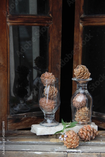brown pine cones with white flowers