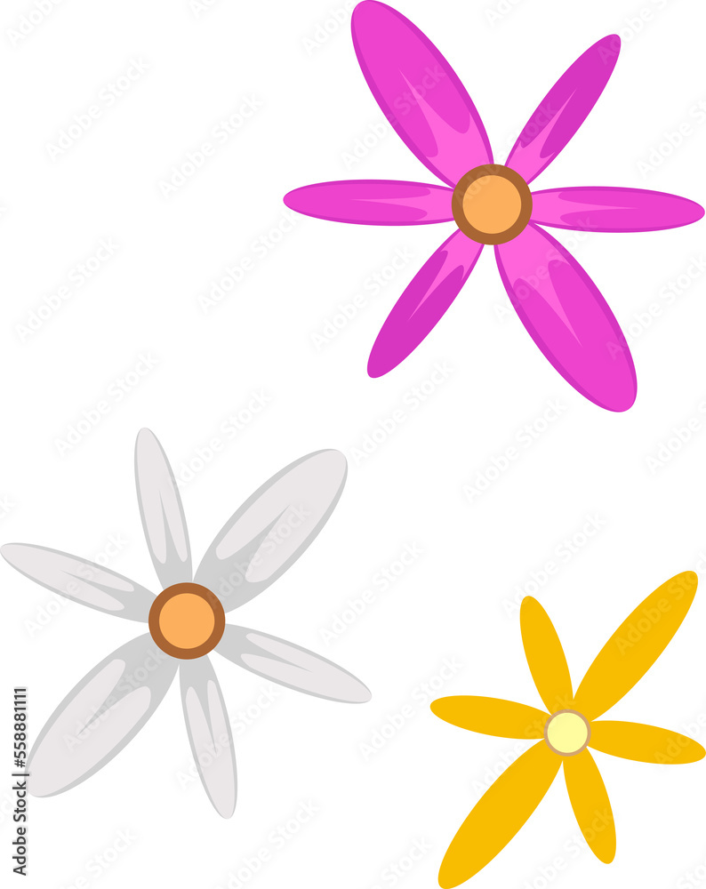 simple illustration of beautiful white pink and yellow flowers