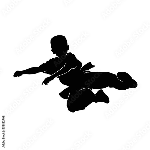 Vector Silhouette of Male Karate Athlete in Action on White Background