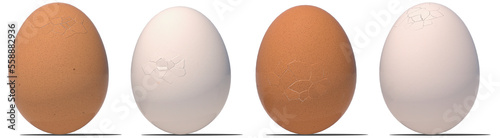 Foto eggs egg cracked hq cutout easter
