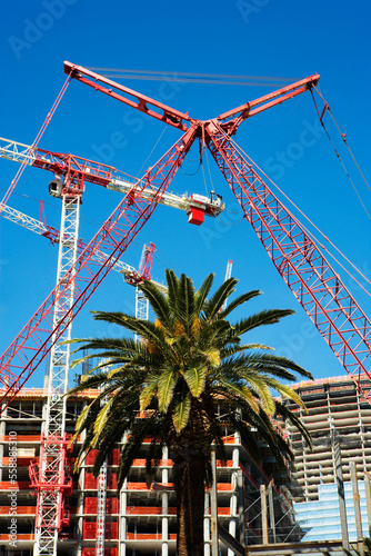 Overhead construction cranes and palm tree at the CityCenter, Las Vegas, Nevada. photo
