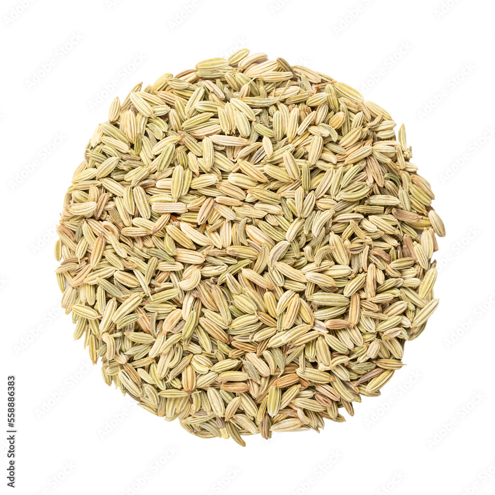 Fennel seeds, circle, close-up, isolated, from above. Disk made of whole dried fruits of Foeniculum vulgare. Aromatic and flavorful spice, culinary and medical used, and in preparation of absinthe. Fennel seeds, circle, close-up, isolated, from above. Disk made of whole dried fruits of Foeniculum vulgare. Aromatic and flavorful spice, culinary and medical used, and in preparation of absinthe.
