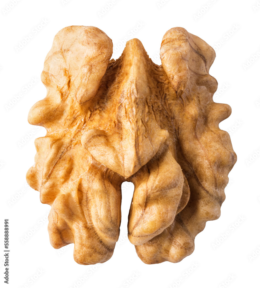 Walnuts on transparent background. png file Walnuts on transparent background. png file