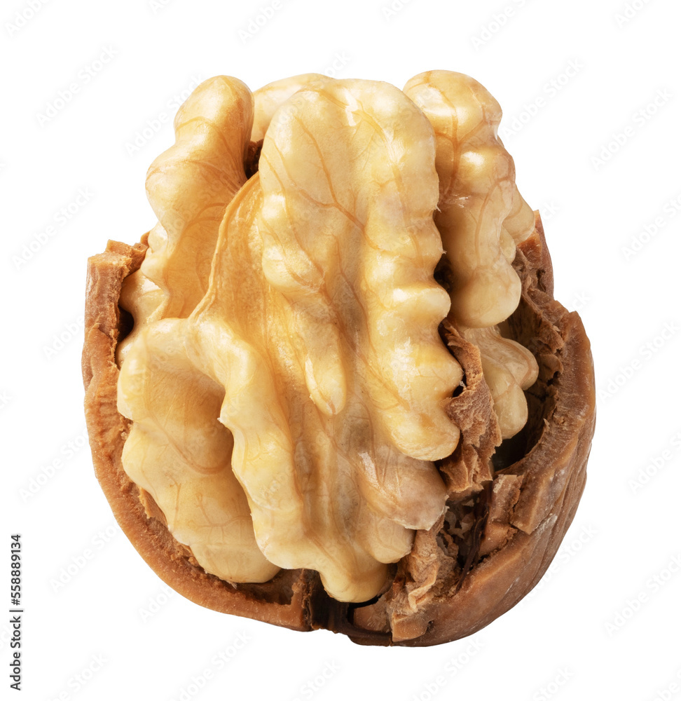 walnuts on transparent background. png file walnuts on transparent background. png file