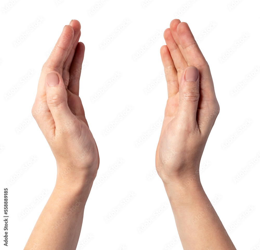 Woman's hand on transparent background. png file Woman's hand on transparent background. png file