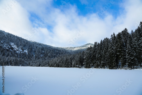 large Arbersee snow-covered in the Bavarian Forest